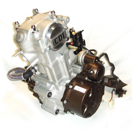 Motor Completo (água) CB 250cc (ATV), LONCIN (para peças)